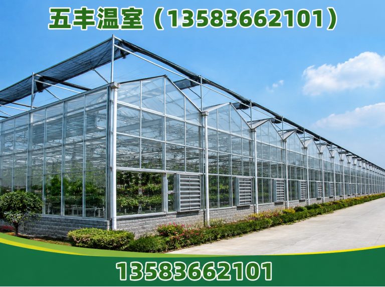 潍坊连栋温室展示图